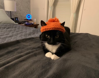 Chapeau pour chat, chapeau au crochet pour chat, chapeau de chat