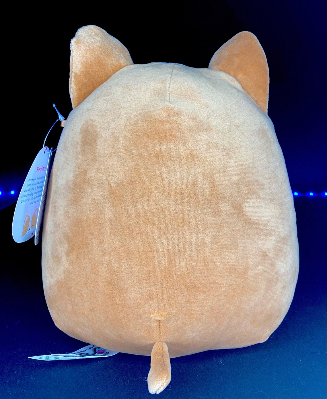regina boba squishmallow