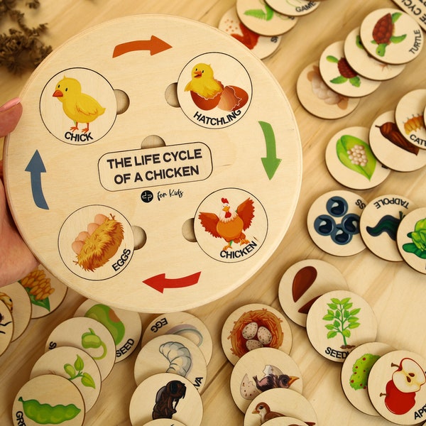 Life Cycle Tray | Montessori Toddler | Montessori Wooden | Montessori | Montessori Toy | Growth | Wooden Tray | Montessori Material | Cycle