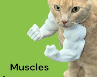 Muscoli del braccio / Gatti e cani / Divertente / Costume per animali domestici