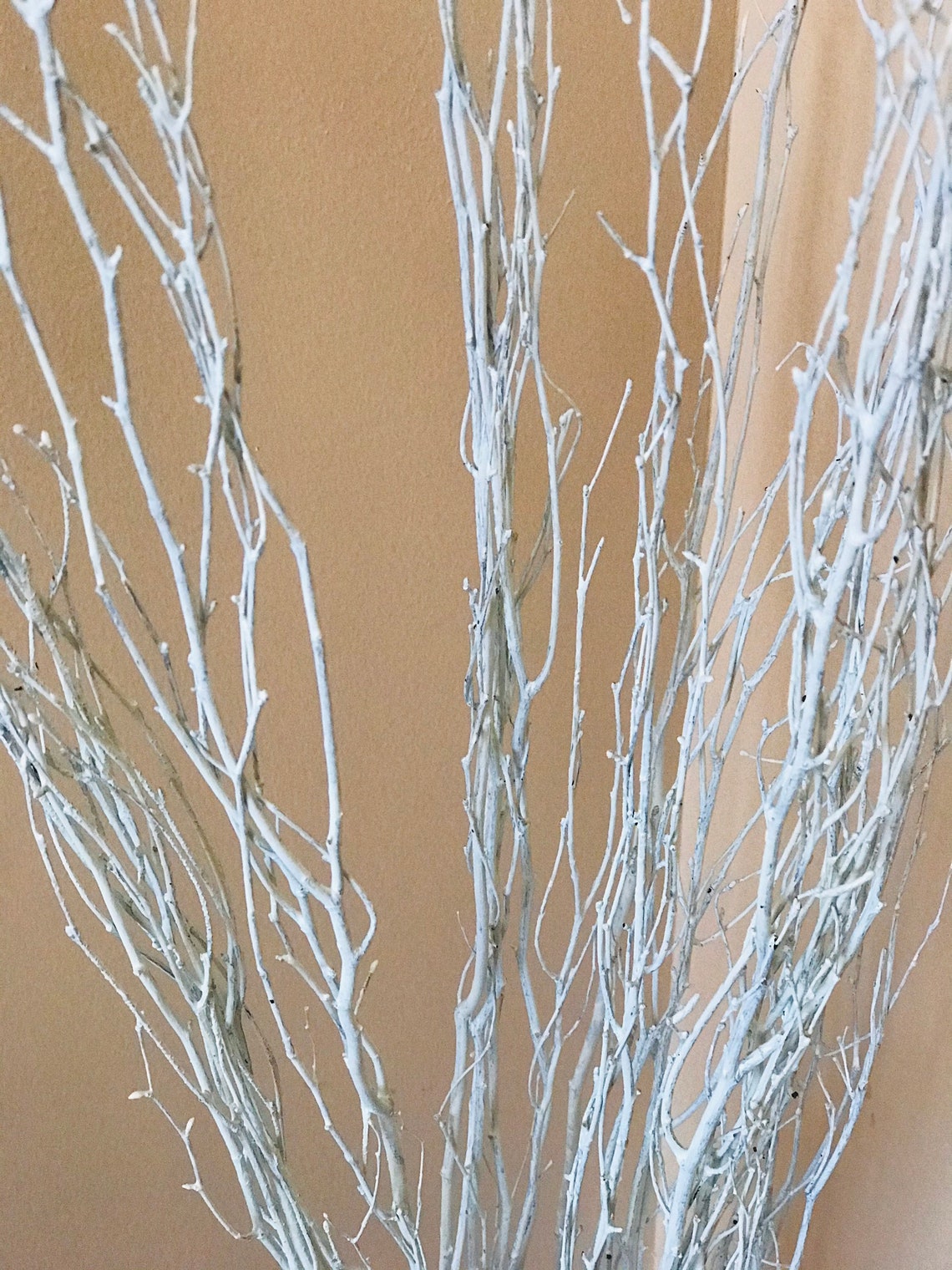 White birch branches sparkly birch branches home decor Etsy