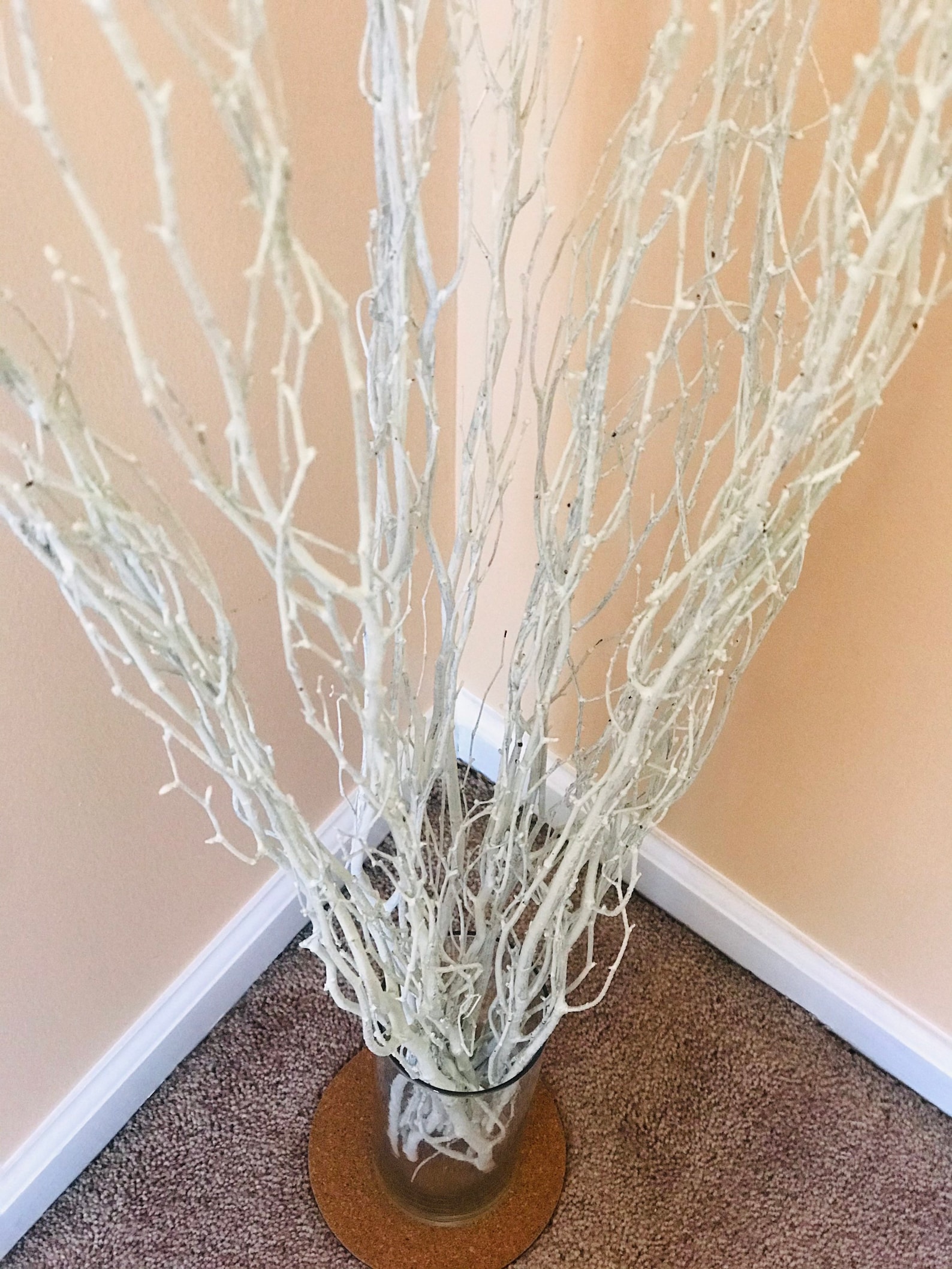 White birch branches sparkly birch branches home decor Etsy