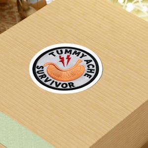 Pegatina de vinilo divertida y estética para sobreviviente de dolor de estómago, ideal para botellas de agua, portátiles, diarios, enfermedades crónicas, regalo humorístico.