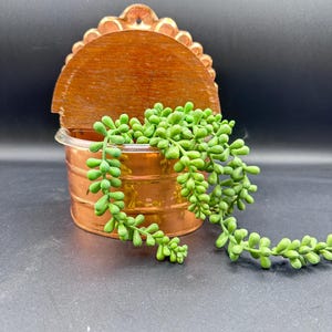 Vintage Copper Salt Box with Wood Lid: French Country Decor