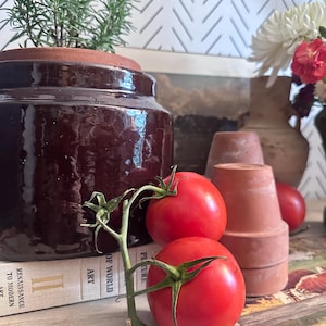 Vintage Brown Stoneware Crock Planter: Rustic Farmhouse Pottery