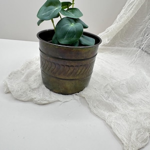 May include: A small, dark bronze-colored metal planter with a textured design, holding a green plant with large, heart-shaped leaves. The planter sits on a white surface with a draped, textured fabric in the background.