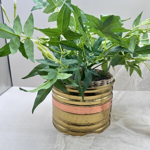 May include: A decorative planter with a brass finish and a copper-colored band. The planter is filled with green leafy plants and white flower buds. The pot has a woven rim.