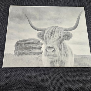 Highland Cow - Home Decor