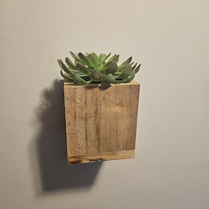 May include: A small wooden box with a succulent plant inside. The box is mounted to a white wall.