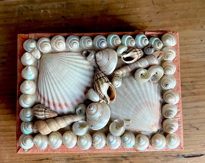 Victorian Book Shaped Shellwork Box - Etsy