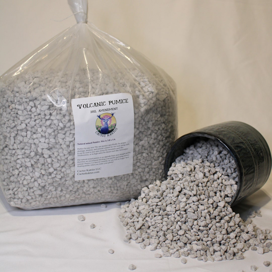 Horticultural Pumice 14 Quarts Cactus Succulent Bonsai Soil Amendment ...