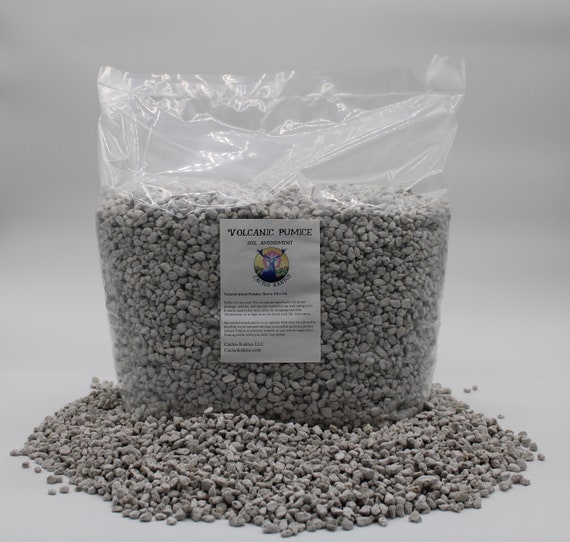 Horticultural Pumice - 14 quarts  - Cactus Succulent Bonsai Soil Amendment