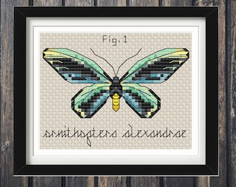 Queen Alexandra's Birdwing Butterfly Cross Stitch Pattern (PDF Pattern)
