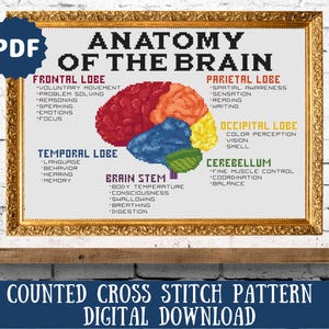 May include: A counted cross stitch pattern of the human brain, with labels for each lobe and its functions. The brain is depicted in a colorful, pixelated style. The title "Anatomy of the Brain" is at the top of the image. The text "Counted Cross Stitch Pattern Digital Download" is at the bottom of the image.