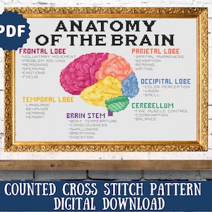 以下が含まれることがあります： 脳の解剖図のクロスステッチパターンです。図は、前頭葉、頭頂葉、後頭葉、側頭葉、小脳など、脳のさまざまな葉を示しています。脳幹もラベル付けされています。図は金色のフレームに収められており、白い背景になっています。図の上部には「ANATOMY OF THE BRAIN」というテキストが書かれています。図の下部には「COUNTED CROSS STITCH PATTERN DIGITAL DOWNLOAD」というテキストが書かれています。