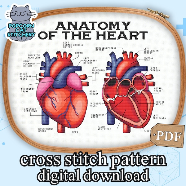 Padrão de ponto cruz de coração anatômico: Bordado científico (download digital em PDF)