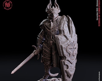 Altair Dragonborn Paladin - Flesh of Gods