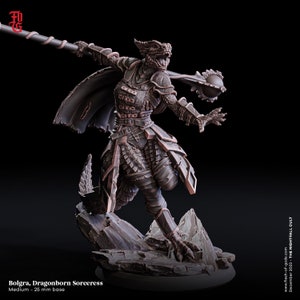May include: A detailed miniature figurine of a dragonborn sorceress, painted in shades of brown and grey, holding a staff with a sphere at the end. The figure is standing on a rocky base.