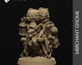 Merchant Gnome - Collective Studio