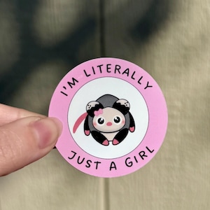 Pegatinas de zarigüeya lindas, pegatinas con temática de animales del bosque, pegatinas con el meme "I'm just a girl", pegatinas brillantes de zarigüeya, paquete de pegatinas troqueladas de zarigüeya