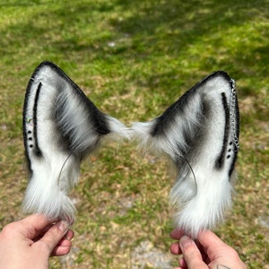 May include: A pair of faux fur cat ears in black, white, and gray. The ears have a fluffy texture with a gradient pattern. The ears are connected by a thin wire and have a silver chain and small decorative accents.