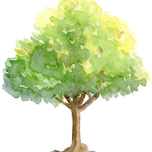 Watercolor Tree