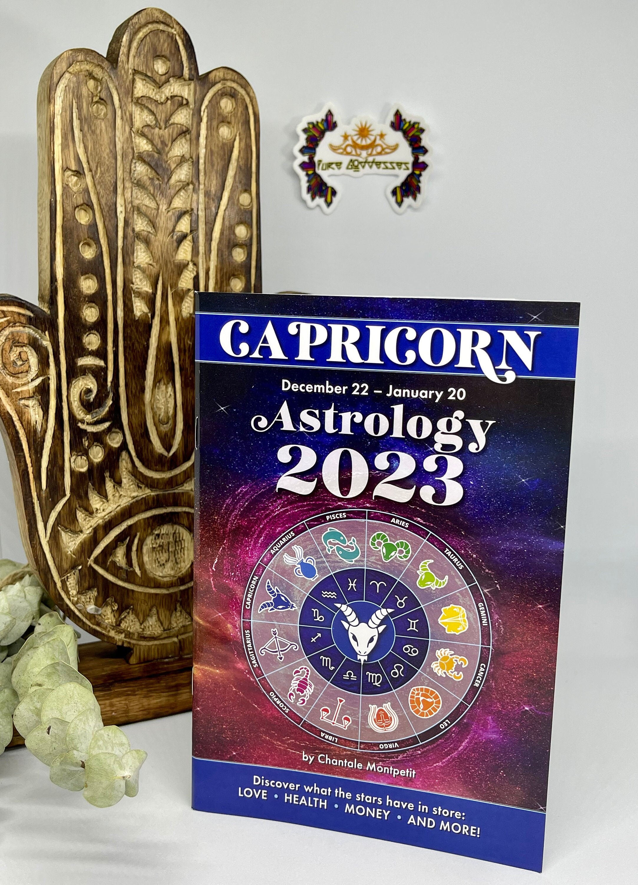 2023 Astrology Book Zodiac Capricorn Stars Constellations - Etsy