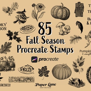 May include: A set of 85 digital stamps for the Procreate app, featuring fall and Halloween themes. The stamps include images of pumpkins, leaves, skulls, witches, and more. The text "Spooky Season", "Trick or Treat", "Thankful & Blessed", and "Pumpkin Spice & everything nice" is also included.