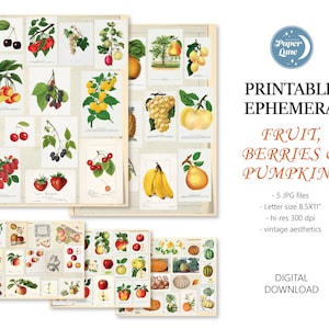 Printable Ephemera Set 5 Letter Size Sheets Apples, Berries, Fruit, Pumpkins, Vintage Journal Scrapbooking Digital Download Page Decor Kit