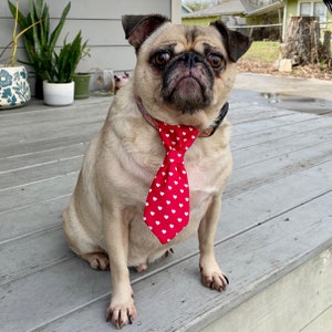 Valentine's Day Dog Collar Necktie, Pet Tie, Dog Necktie image 2
