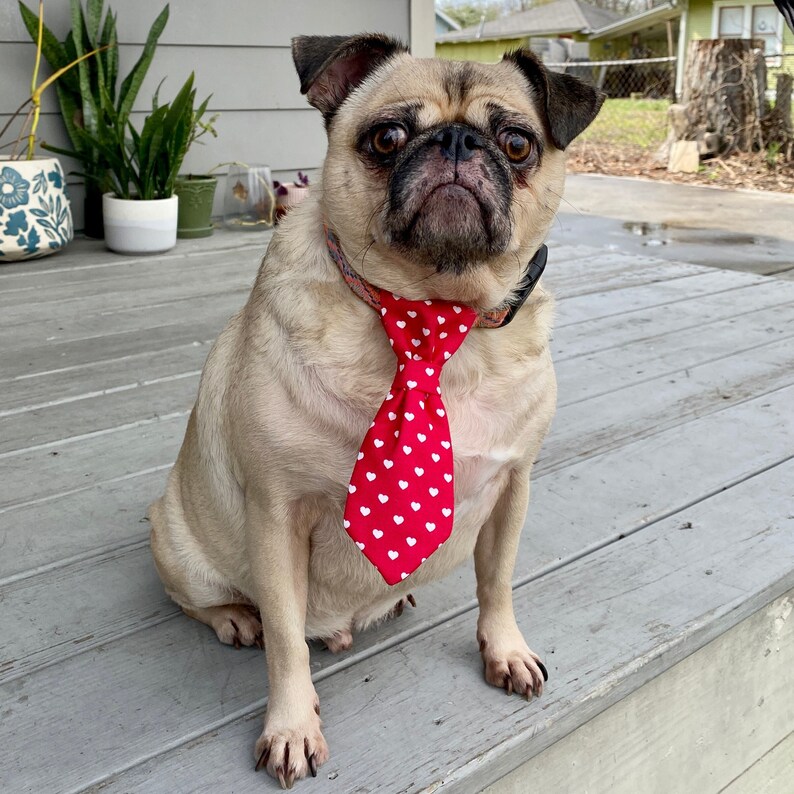 Valentine's Day Dog Collar Necktie, Pet Tie, Dog Necktie image 2