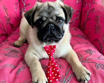Corbata para perro de San Valentín: Corbata para mascota con corazón rojo y blanco