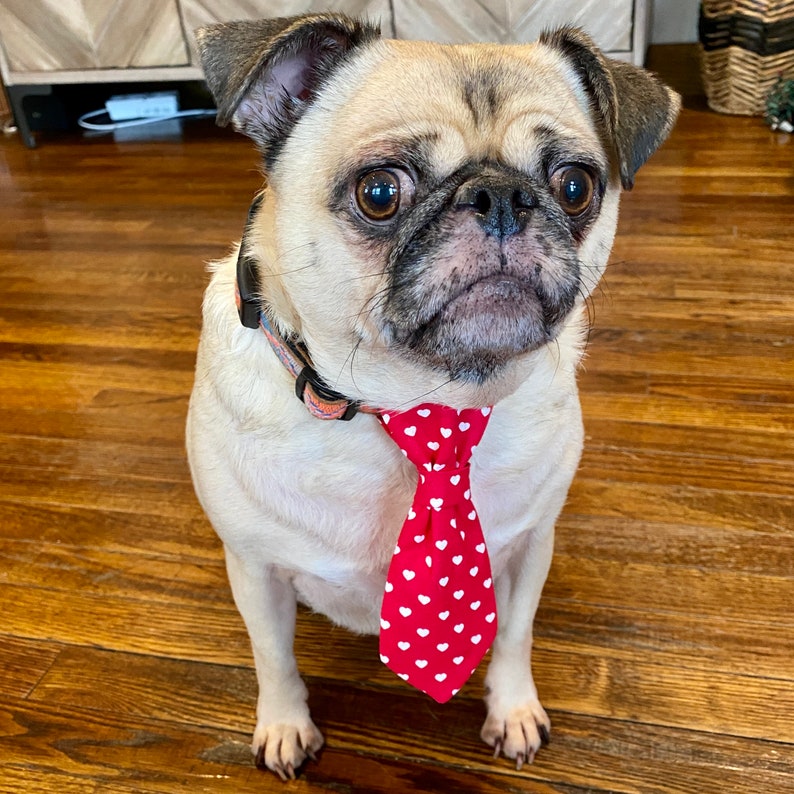 Valentine's Day Dog Collar Necktie, Pet Tie, Dog Necktie image 3