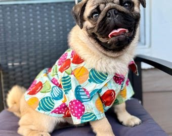 Camiseta de cumpleaños para perro niño: cierre de velcro, orificio para arnés, estampado de globos, hecha a mano, EDICIÓN LIMITADA