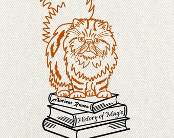 Hermione Granger Illustration Print Crookshanks Grumpy Etsy