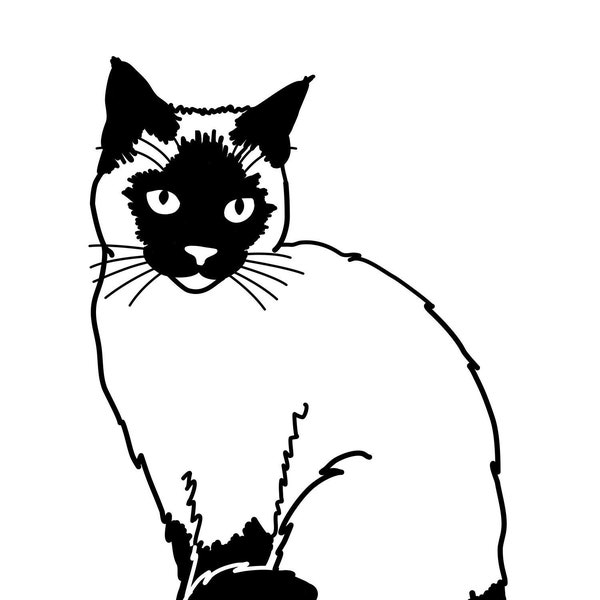 Siamese Cat A clip art and cut files