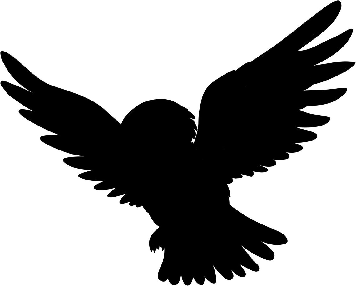 Snowy Owl With And Without Letter Clip Art And Cut Files Etsy New Zealand