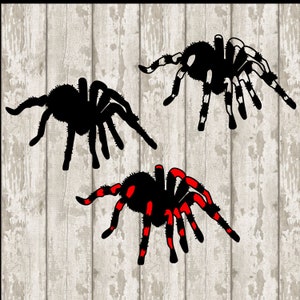 May include: Three black spider silhouettes with different colored markings. The top spider has white markings, the middle spider has no markings, and the bottom spider has red markings.
