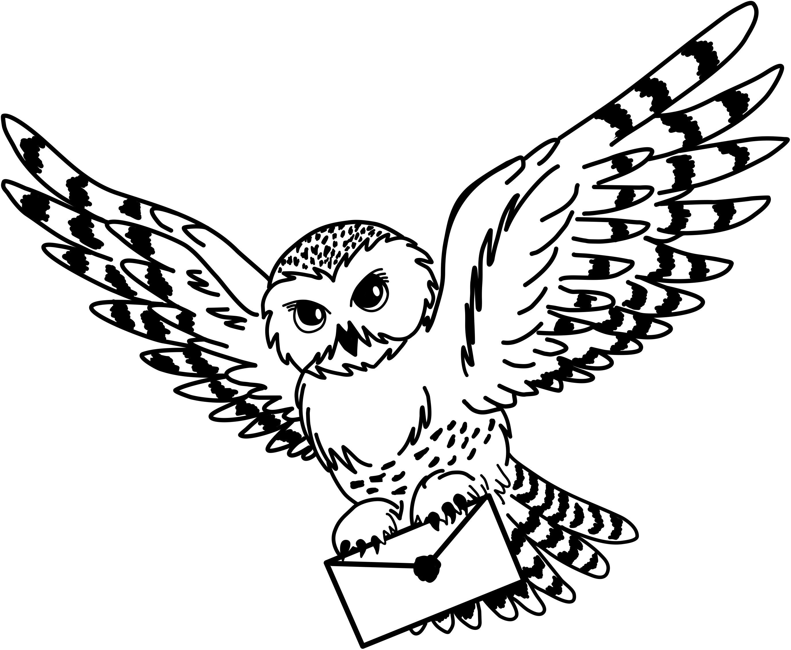 Chouette Hedwige Harry Potter Dessin Hedwig clipart - Etsy Canada