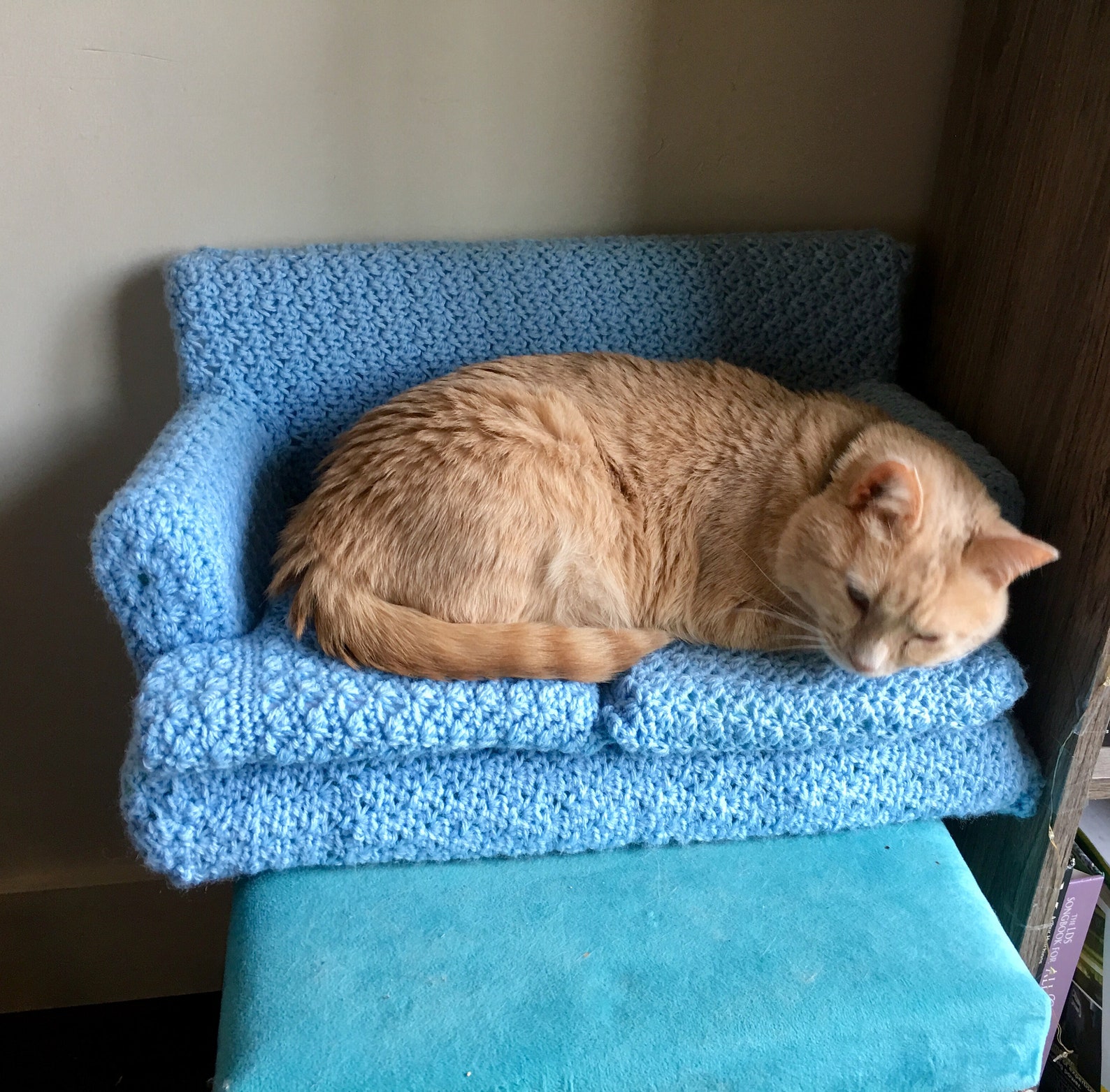 Individualisierbare Katzen couch handgefertigt Etsy.de