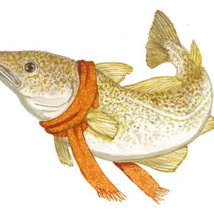 Peut inclure: Illustration à l'aquarelle d'un poisson portant une écharpe orange. Le poisson est orné de motifs tachetés jaunes et bruns. L'écharpe est enroulée autour du cou du poisson et se termine par des franges. Fond blanc.