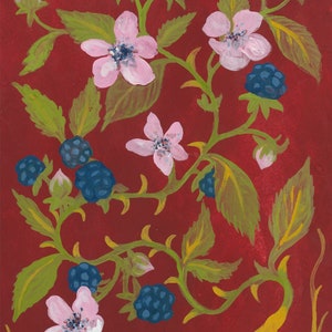 Blackberries and Blooms