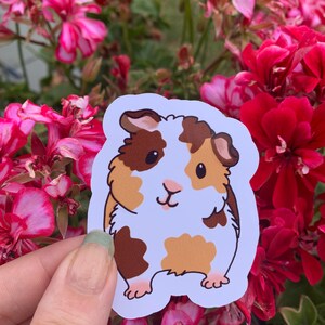 K&ouml;nnte beinhalten: Ein Aufkleber mit einem braunen und wei&szlig;en Meerschweinchen mit braunen Augen und einer rosa Nase. Das Meerschweinchen steht auf allen vieren und hat einen wei&szlig;en Hintergrund.