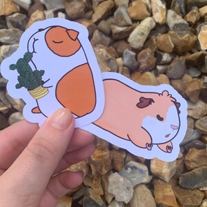 K&ouml;nnte beinhalten: Zwei illustrierte Aufkleber mit Meerschweinchen. Ein Meerschweinchen h&auml;lt einen Kaktus in einem Topf. Das andere Meerschweinchen liegt auf dem Bauch. Beide Aufkleber sind wei&szlig; mit schwarzen Umrissen.
