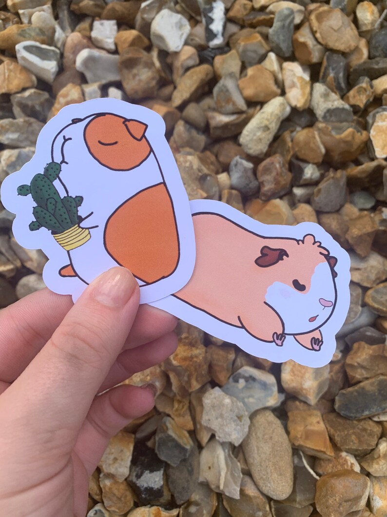 K&ouml;nnte beinhalten: Zwei illustrierte Aufkleber mit Meerschweinchen. Ein Meerschweinchen h&auml;lt einen Kaktus in einem Topf. Das andere Meerschweinchen liegt auf dem Bauch. Beide Aufkleber sind wei&szlig; mit schwarzen Umrissen.