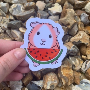 K&ouml;nnte beinhalten: Ein Aufkleber mit einem Cartoon-Meerschweinchen, das ein St&uuml;ck Wassermelone h&auml;lt. Das Meerschweinchen ist rosa und wei&szlig; mit schwarzen Augen und einer rosa Nase. Die Wassermelone ist rot mit schwarzen Kernen und einer gr&uuml;nen Schale.