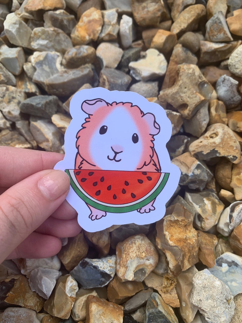 K&ouml;nnte beinhalten: Ein Aufkleber mit einem Cartoon-Meerschweinchen, das ein St&uuml;ck Wassermelone h&auml;lt. Das Meerschweinchen ist rosa und wei&szlig; mit schwarzen Augen und einer rosa Nase. Die Wassermelone ist rot mit schwarzen Kernen und einer gr&uuml;nen Schale.