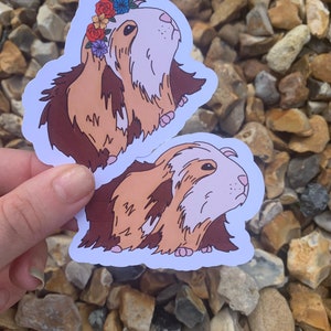 K&ouml;nnte beinhalten: Zwei Aufkleber mit Cartoon-Illustrationen von Meerschweinchen. Der erste Aufkleber zeigt ein Meerschweinchen mit einer Blumenkrone, der zweite Aufkleber zeigt ein Meerschweinchen mit braunem und wei&szlig;em Fell.