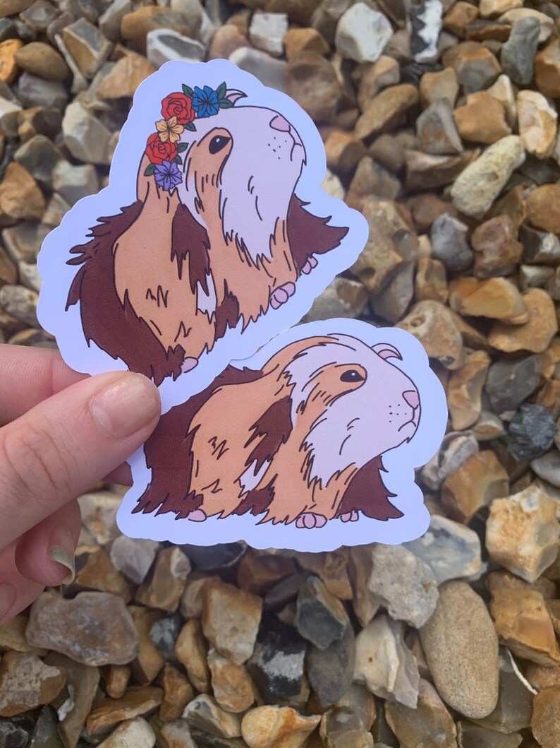 K&ouml;nnte beinhalten: Zwei Aufkleber mit Cartoon-Illustrationen von Meerschweinchen. Der erste Aufkleber zeigt ein Meerschweinchen mit einer Blumenkrone, der zweite Aufkleber zeigt ein Meerschweinchen mit braunem und wei&szlig;em Fell.