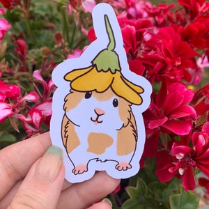 K&ouml;nnte beinhalten: Ein wei&szlig;er Aufkleber mit einer Cartoon-Illustration eines braunen und wei&szlig;en Meerschweinchens, das eine gelbe Blume auf dem Kopf tr&auml;gt. Das Meerschweinchen steht auf seinen Hinterbeinen, die Vorderpfoten in der Luft.
